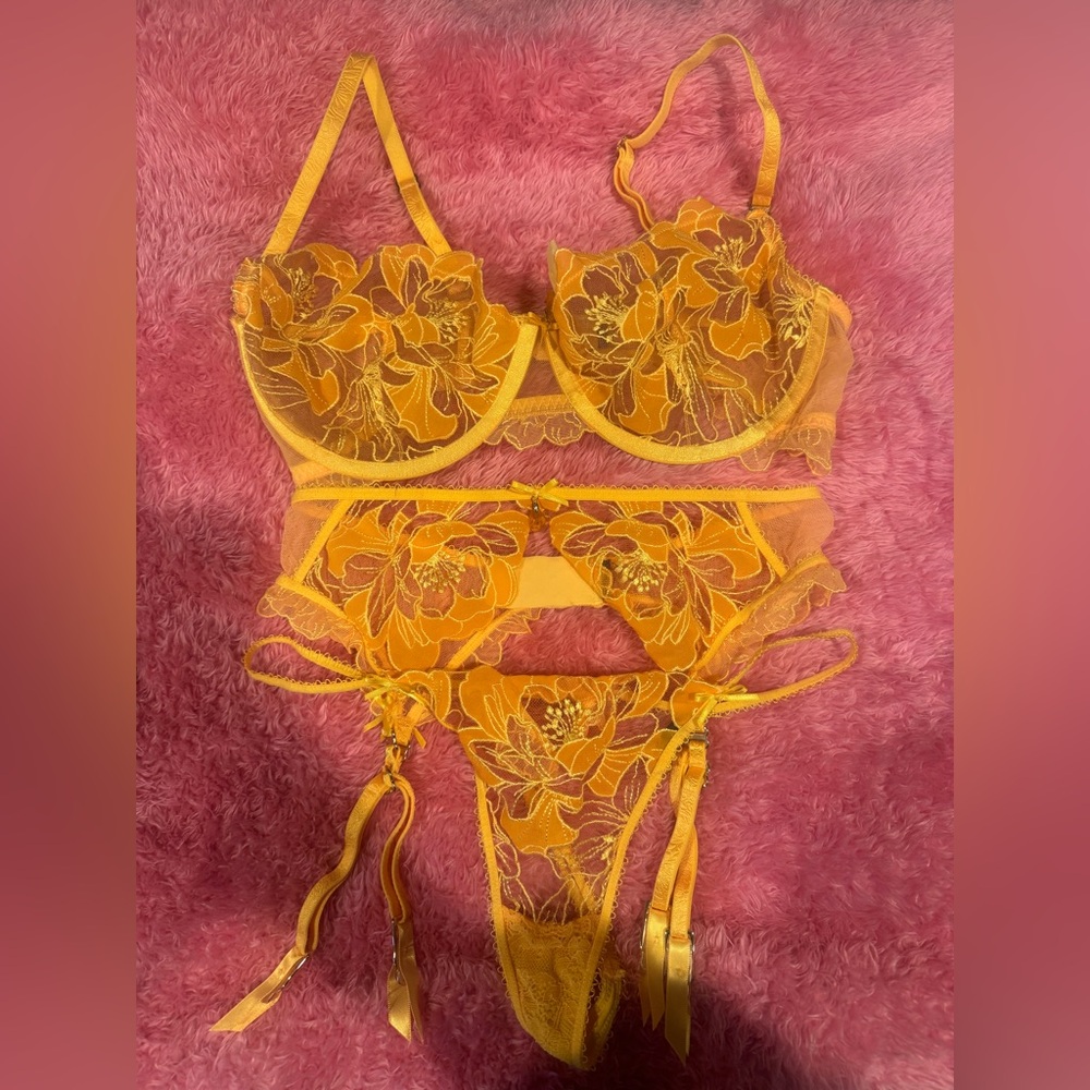 Honey Birdette Set (bra, garter, panty)